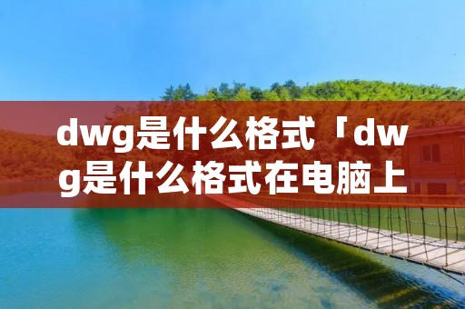dwg是什么格式「dwg是什么格式在电脑上怎么打开」