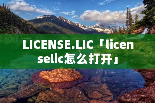 LICENSE.LIC「licenselic怎么打开」