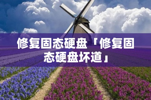 修复固态硬盘「修复固态硬盘坏道」 修复固态硬盘「修复固态硬盘坏道」
