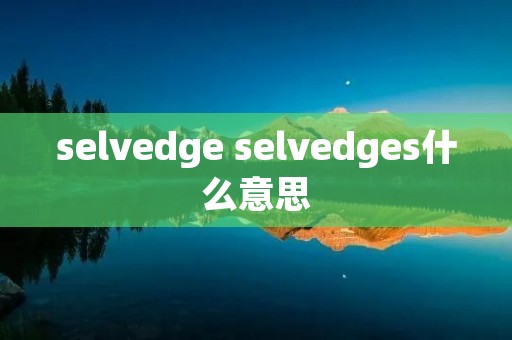 selvedge selvedges什么意思