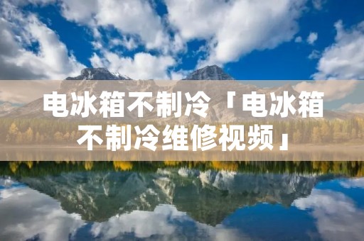 电冰箱不制冷「电冰箱不制冷维修视频」 电冰箱不制冷「电冰箱不制冷维修视频」