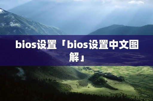 bios设置「bios设置中文图解」