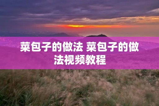 菜包子的做法 菜包子的做法视频教程