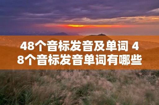 48个音标发音及单词 48个音标发音单词有哪些 48个音标发音及单词 48个音标发音单词有哪些