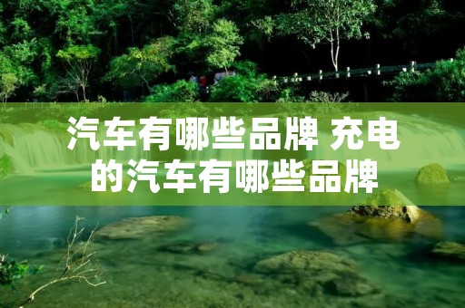 汽车有哪些品牌 充电的汽车有哪些品牌