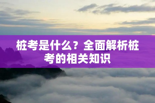 桩考是什么？全面解析桩考的相关知识