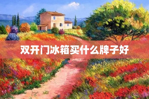 **门冰箱买什么牌子好 **门冰箱买什么牌子好