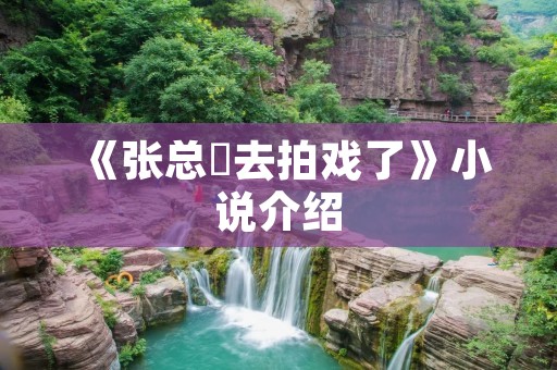 《张总叕去拍戏了》小说介绍
