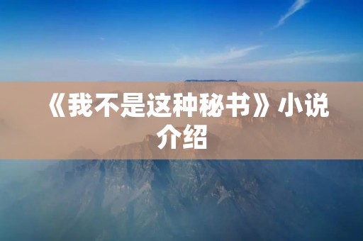 《我不是这种秘书》小说介绍