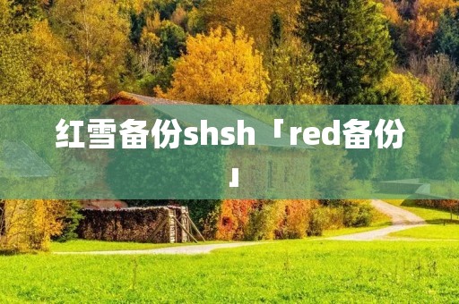 红雪备份shsh「red备份」