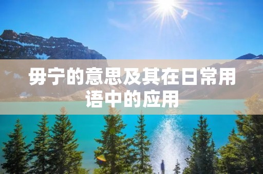 毋宁的意思及其在日常用语中的应用