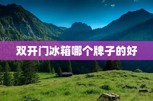 **门冰箱哪个牌子的好 **门冰箱哪个牌子的好