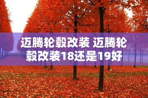 迈腾轮毂改装 迈腾轮毂改装18还是19好