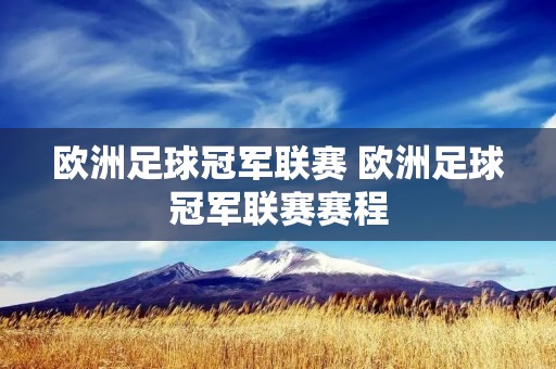 欧洲足球冠军联赛 欧洲足球冠军联赛赛程