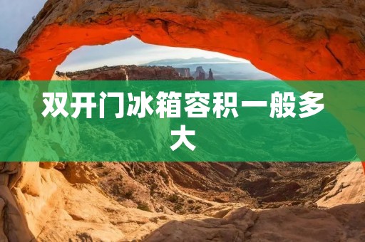 **门冰箱容积一般多大