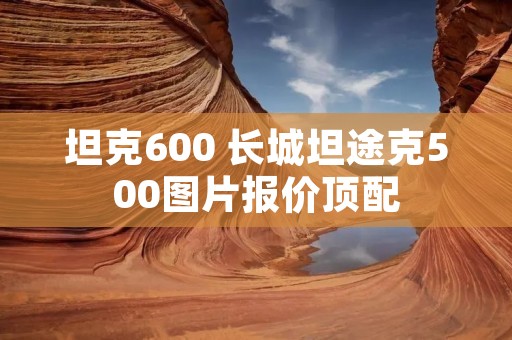 坦克600 长城坦途克500图片报价顶配 坦克600 长城坦途克500图片报价顶配