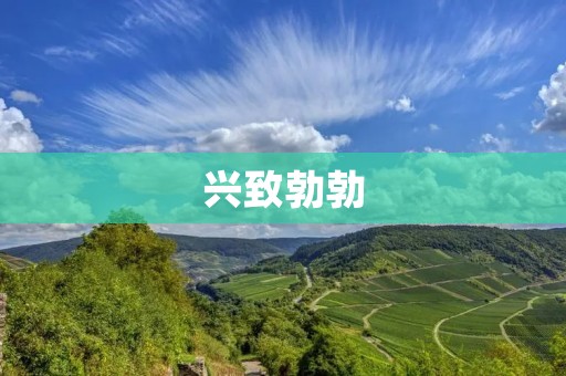 兴致勃勃:激情洋溢的力量