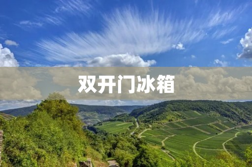 **门冰箱：哪个品牌是最佳选择？
