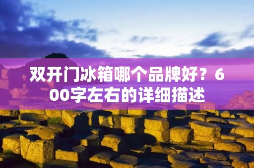 **门冰箱哪个品牌好？600字左右的详细描述