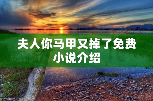 夫人你马甲又掉了免费小说介绍