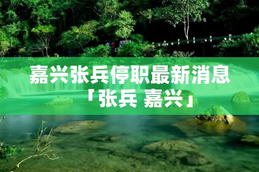 嘉兴张兵停职最新消息「张兵 嘉兴」
