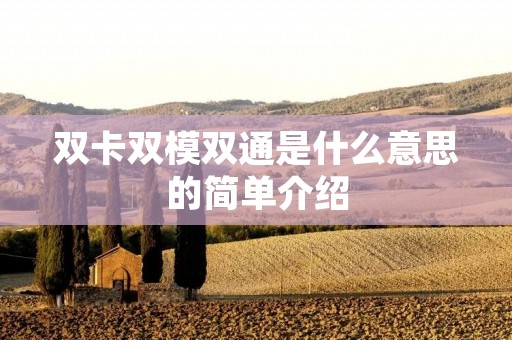 双卡双模双通是什么意思的简单介绍