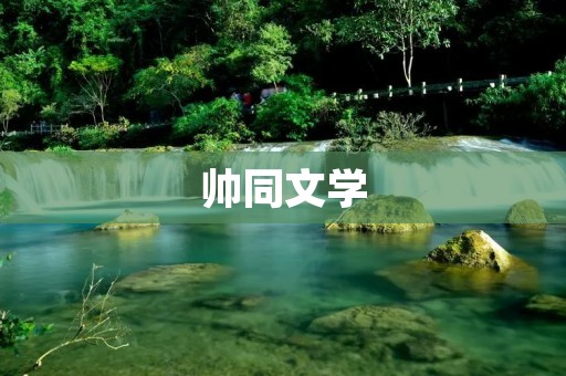 帅同文学:探索帅同世界的独特之美