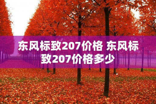 东风标致207价格 东风标致207价格多少 东风标致207价格 东风标致207价格多少