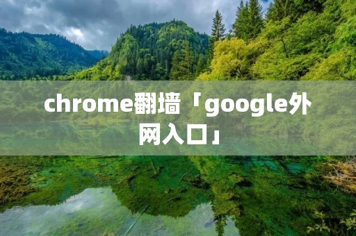 chrome翻墙「google外网入口」 chrome翻墙「google外网入口」