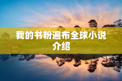 我的书粉遍布全球小说介绍