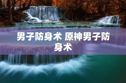 男子防身术 原神男子防身术