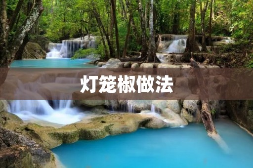 灯笼椒做法:香辣美味,让你回味无穷 灯笼椒做法:香辣美味,让你回味无穷