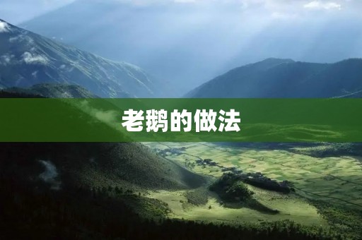 老鹅的做法：传统美味，百年传承