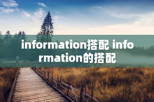 information搭配 information的搭配