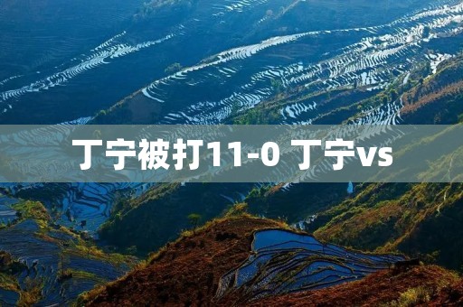 丁宁被打11-0 丁宁vs 丁宁被打11-0 丁宁vs