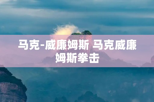 马克-威廉姆斯 马克威廉姆斯拳击