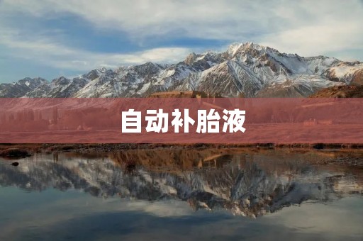 自动补胎液:化解紧急情况下的轮胎漏气隐患 自动补胎液:化解紧急情况下的轮胎漏气隐患