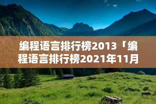编程语言排行榜2013「编程语言排行榜2021年11月」