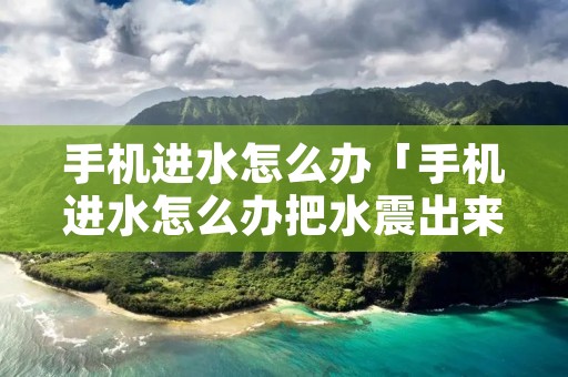 手机进水怎么办「手机进水怎么办把水震出来」 手机进水怎么办「手机进水怎么办把水震出来」