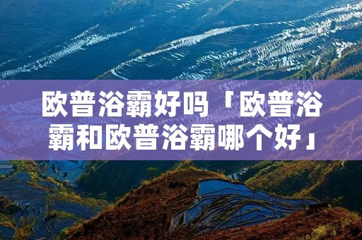 欧普浴霸好吗「欧普浴霸和欧普浴霸哪个好」