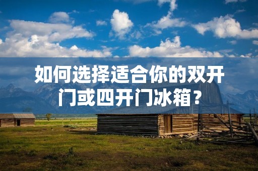 如何选择适合你的**门或四开门冰箱？