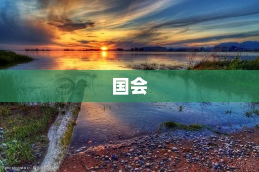 国会:权力的象征与民主的保障 国会:权力的象征与民主的保障