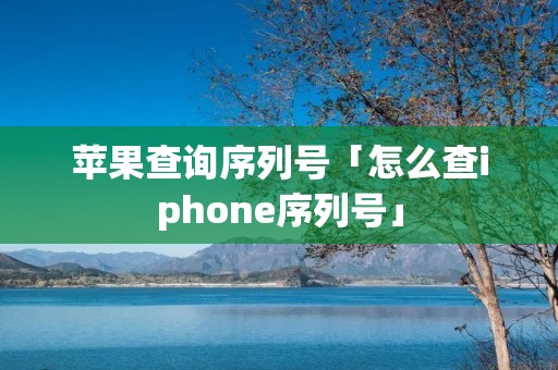 苹果查询序列号「怎么查iphone序列号」 苹果查询序列号「怎么查iphone序列号」
