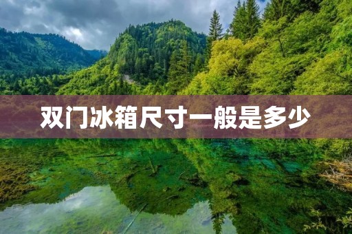 双门冰箱尺寸一般是多少 双门冰箱尺寸一般是多少