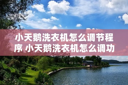小天鹅洗衣机怎么调节程序 小天鹅洗衣机怎么调功能 小天鹅洗衣机怎么调节程序 小天鹅洗衣机怎么调功能