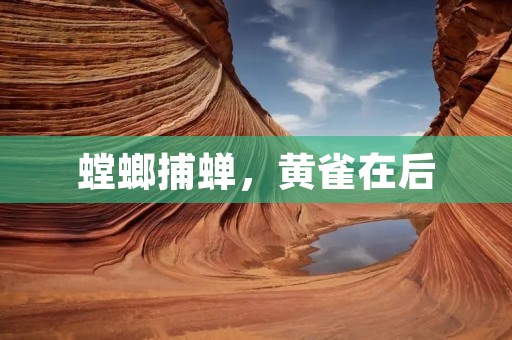 螳螂捕蝉,黄雀在后:生活中的智慧启示