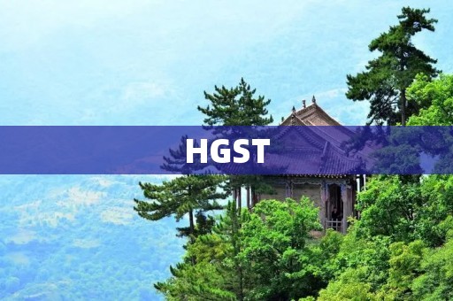 HGST:领先的存储解决方案提供商 HGST:领先的存储解决方案提供商