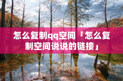 怎么**qq空间「怎么**空间说说的链接」