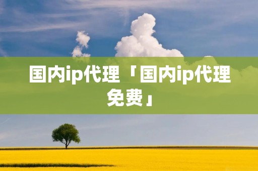国内ip代理「国内ip代理免费」