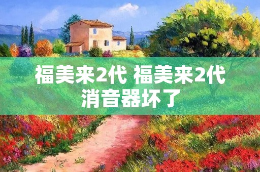 福美来2代 福美来2代消音器坏了